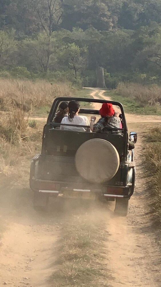 Safari
