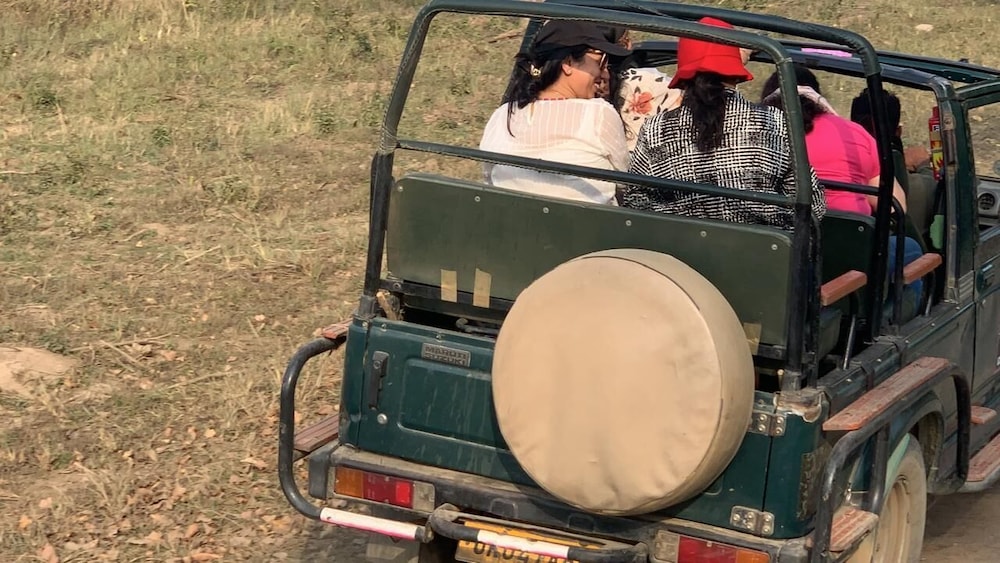 Safari