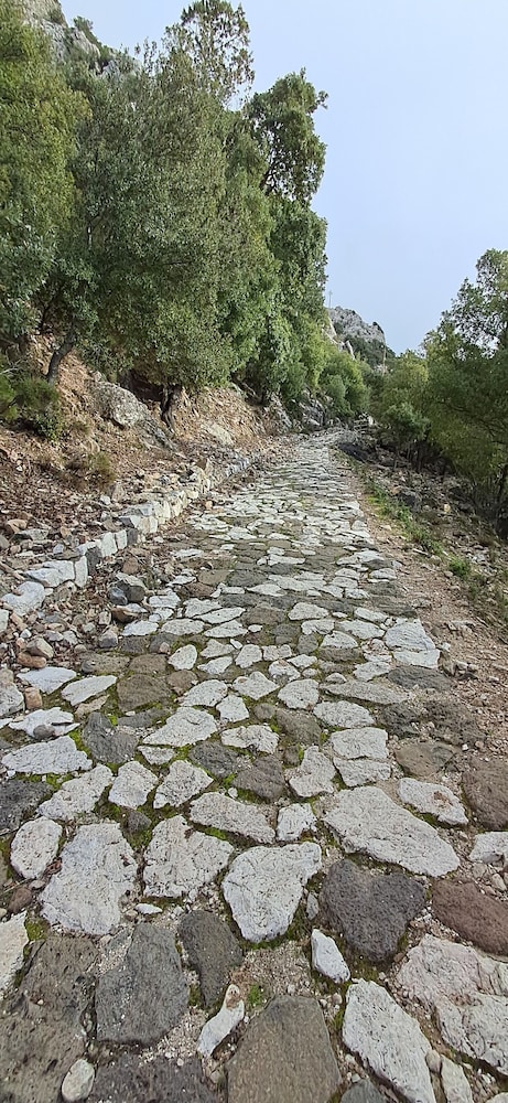 Hiking