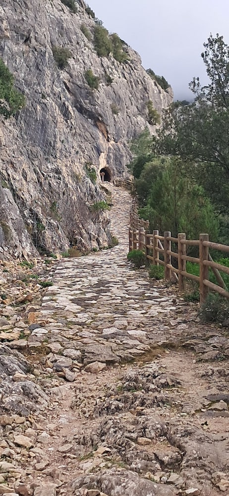 Hiking