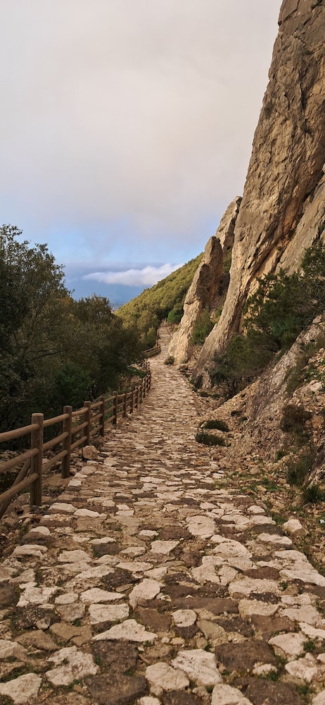 Hiking