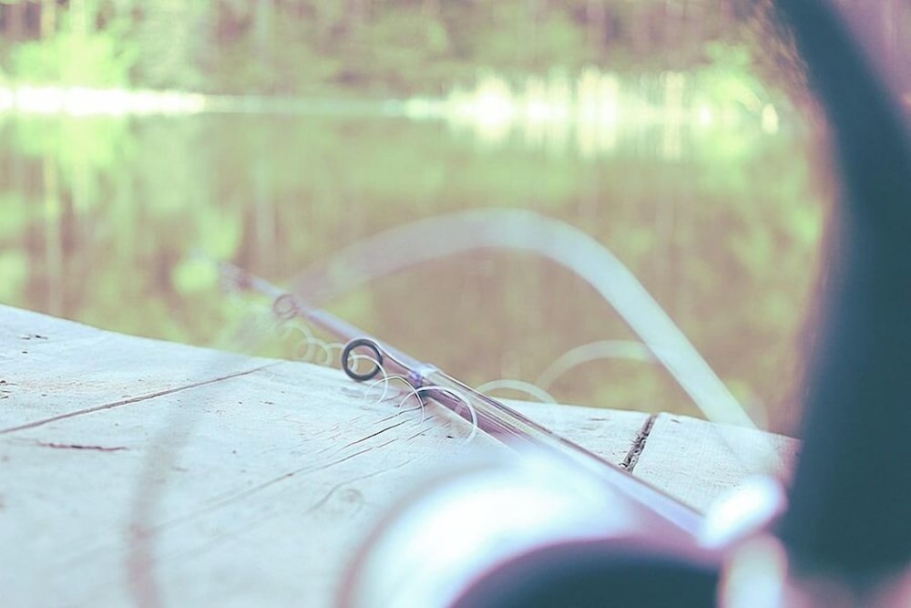 Fishing