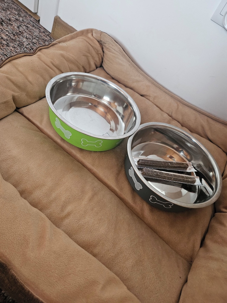 Pet-friendly amenities