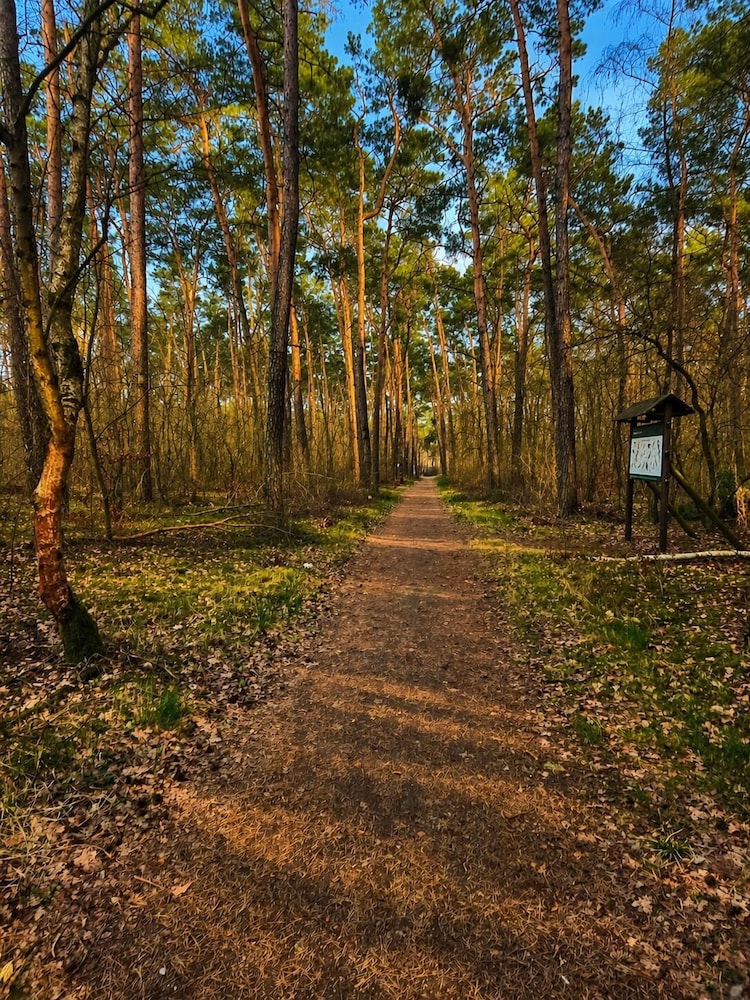 Land view from property