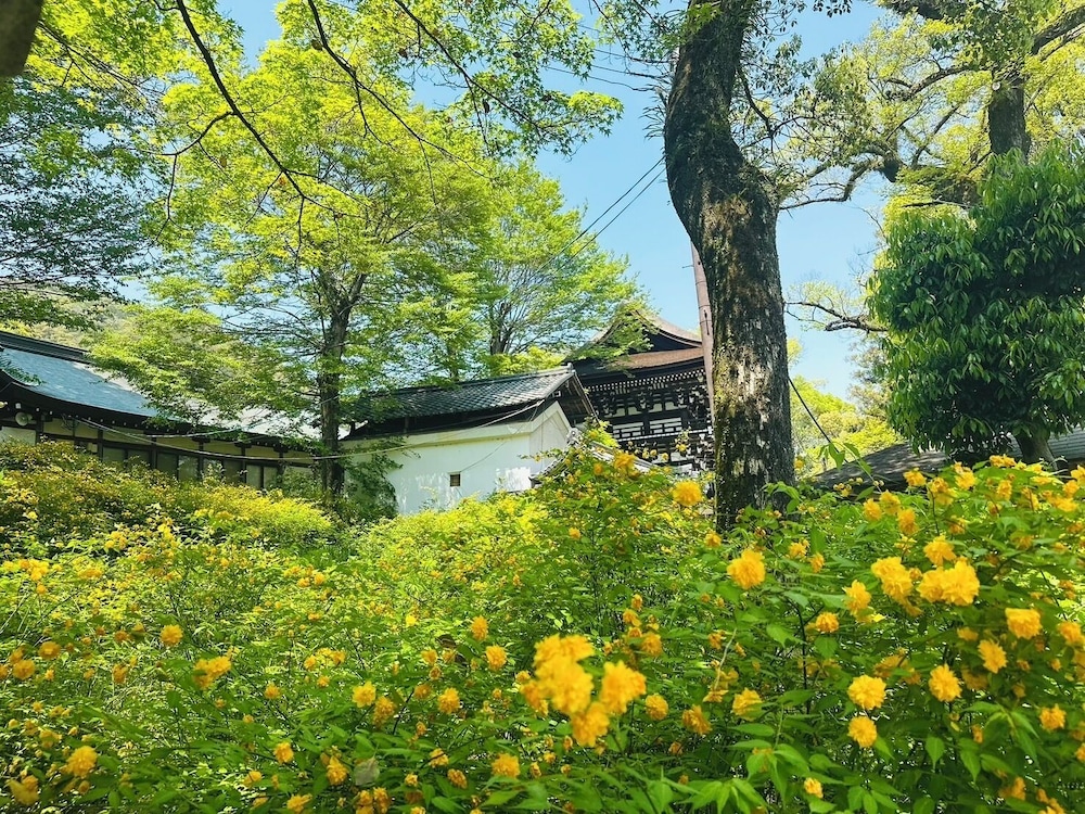 Land view from property
