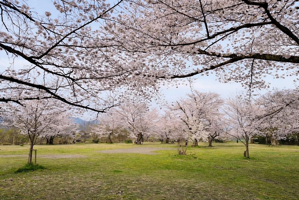 Land view from property