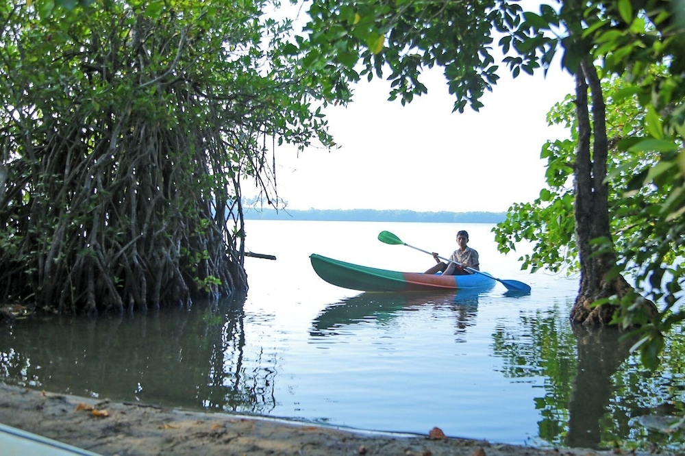 Kayaking