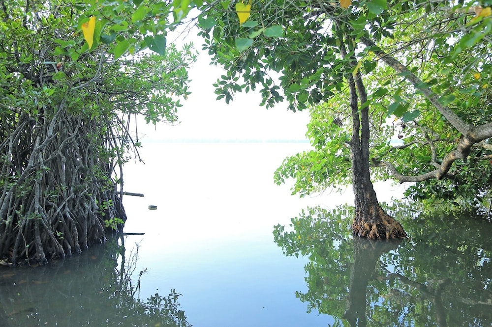 Lake view