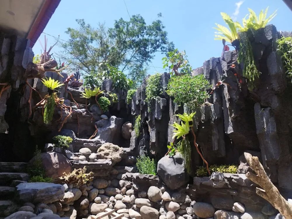 Garden view
