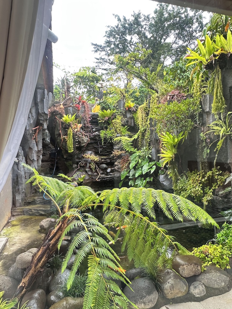 Garden view