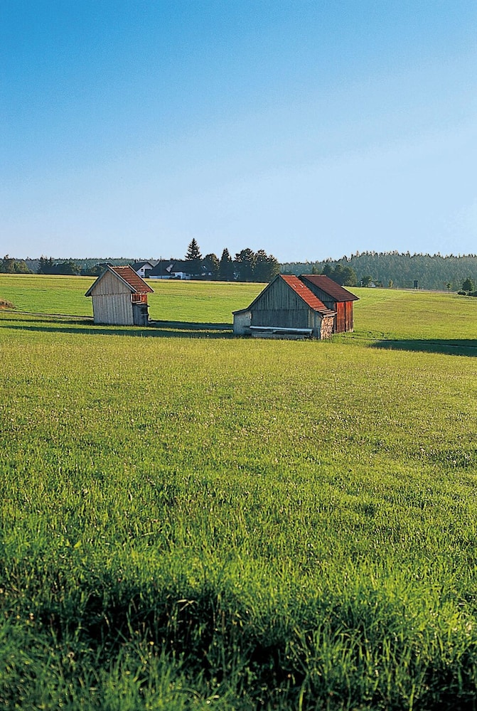 Land view from property