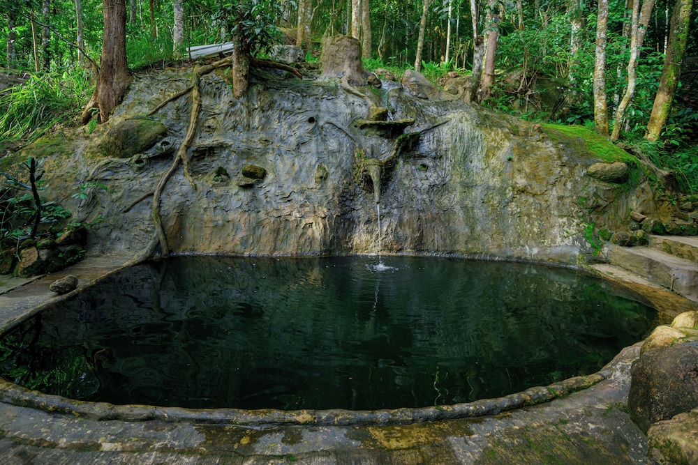 Natural pool