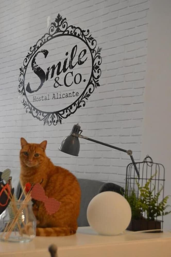 Pet-friendly