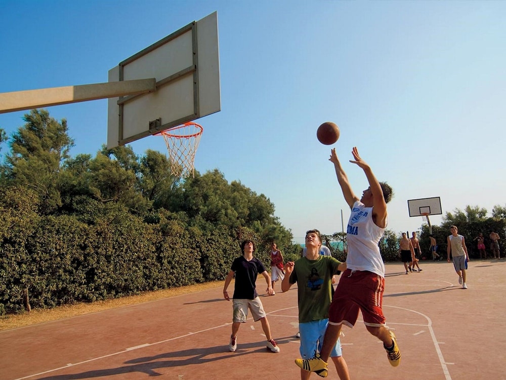 Sport court