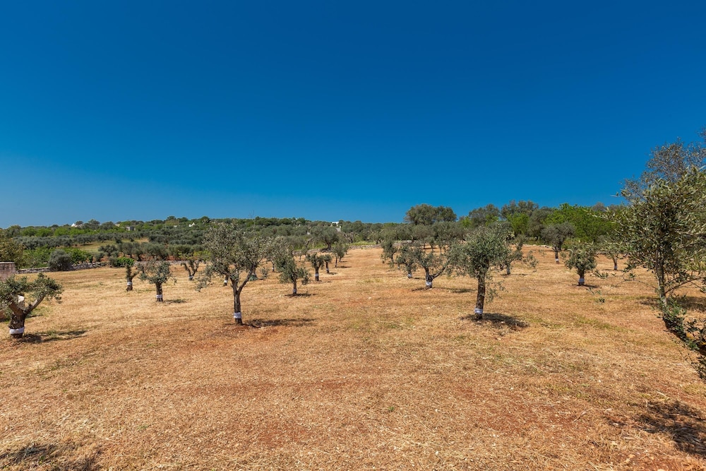 Land view from property