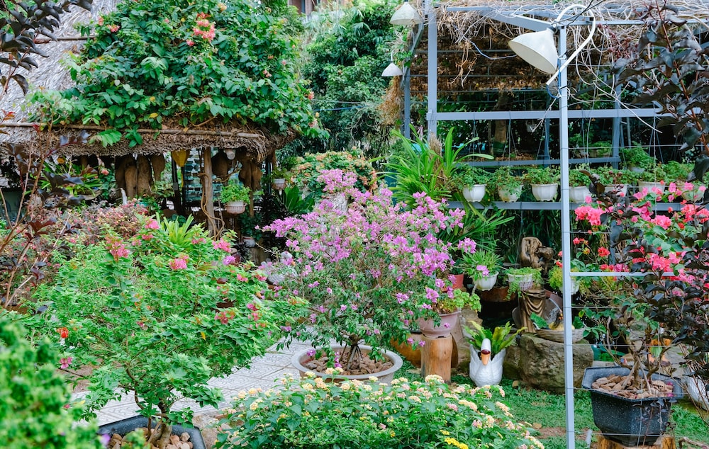 Garden view