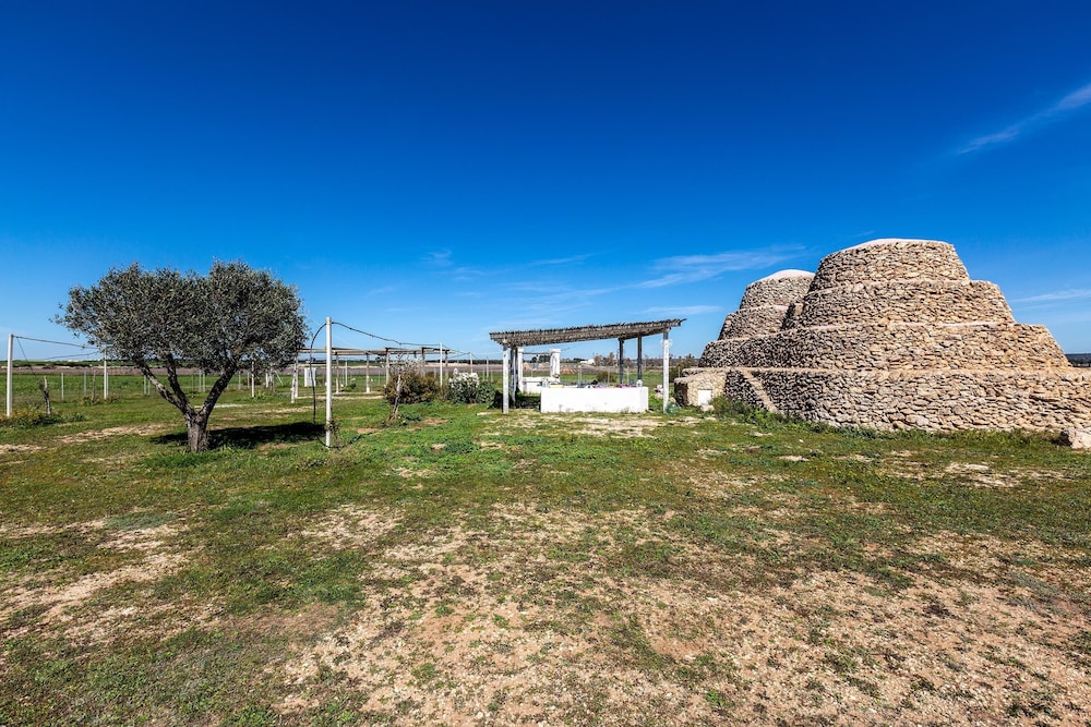 Miscellaneous