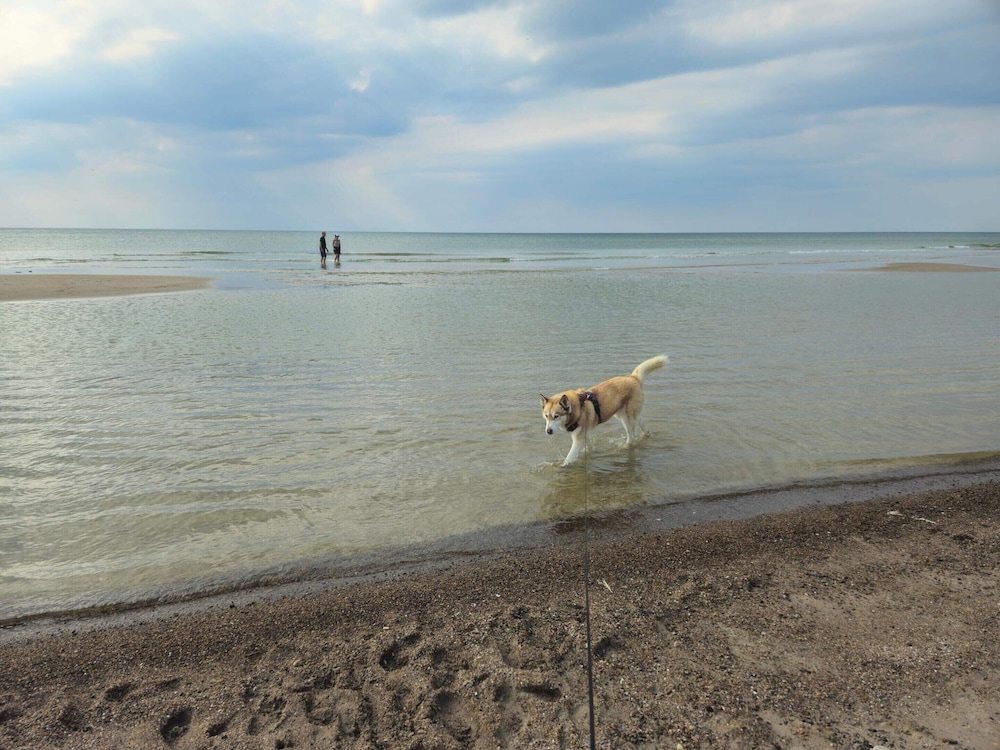Water view