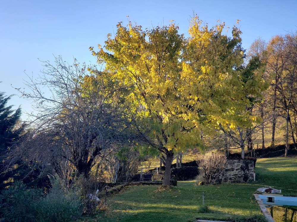 Park view