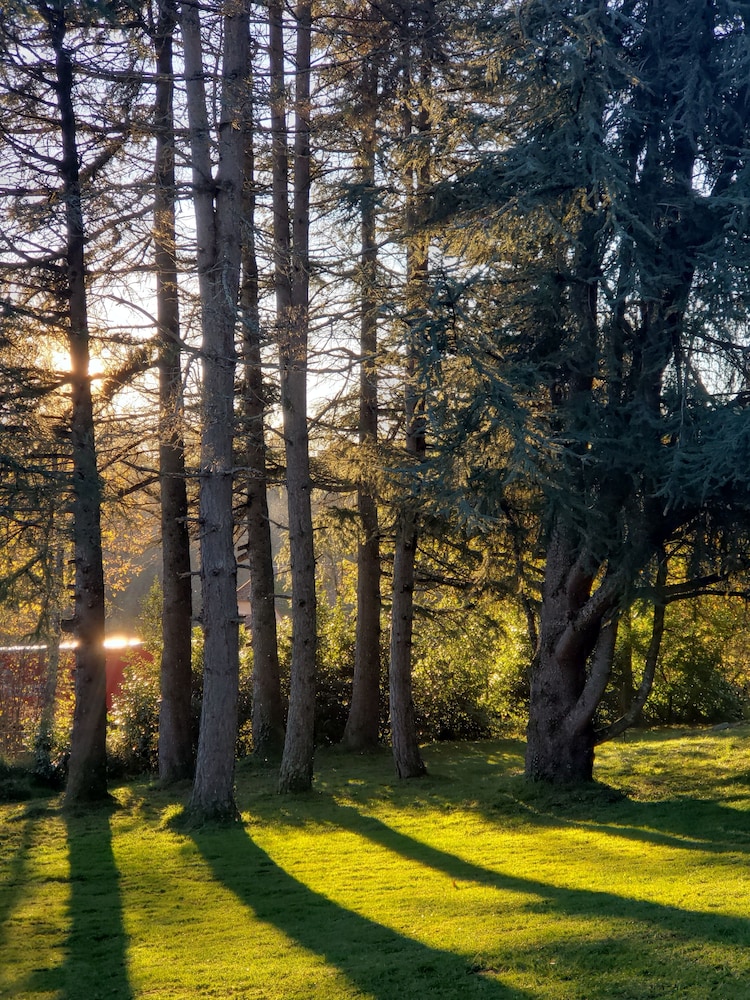 Park view
