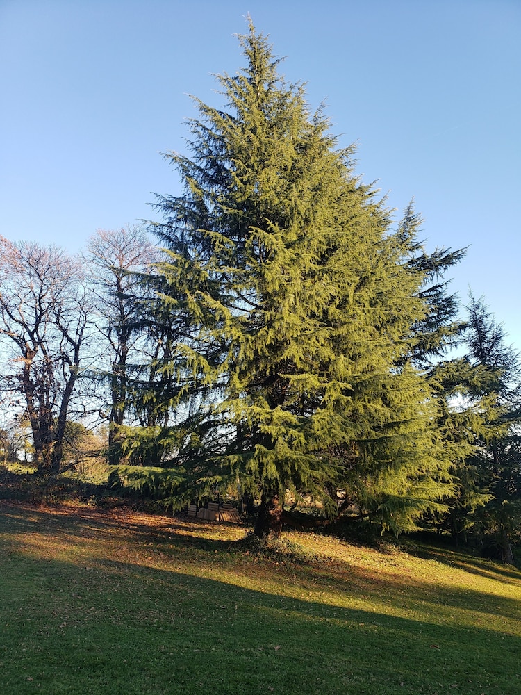 Park view