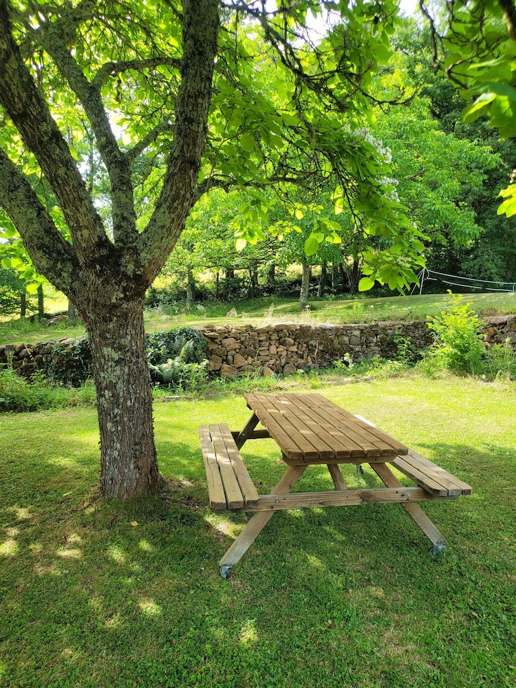 Park view
