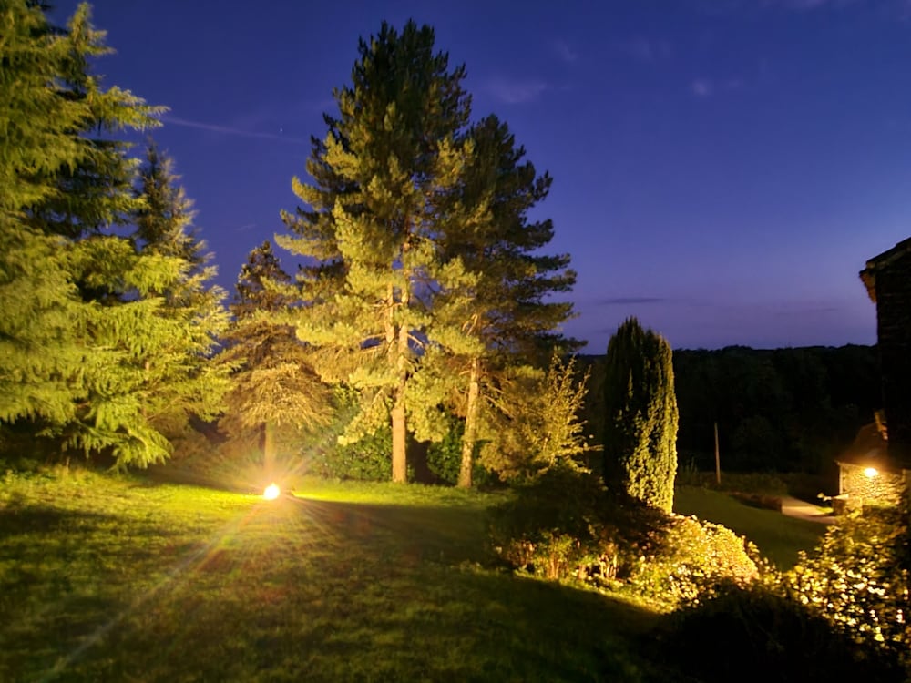 Park view