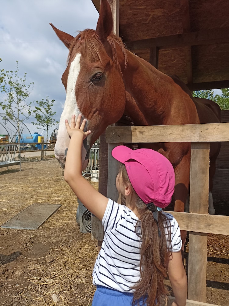Children's activities