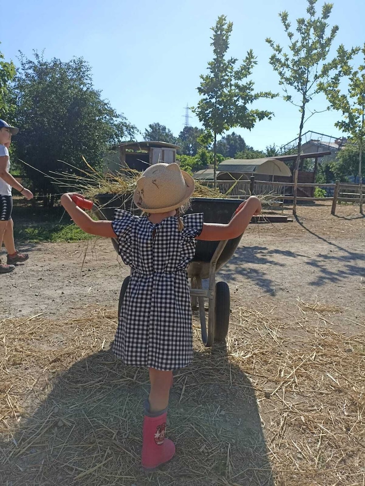 Children's activities
