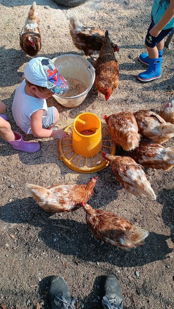 Children's activities
