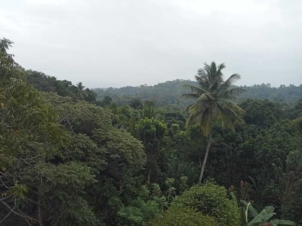 Lake view