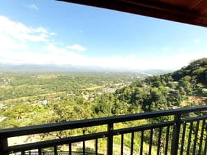 thumbnail: Garden view