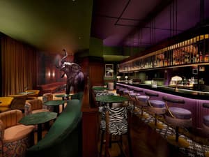 thumbnail: Bar (on property)