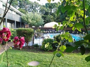 thumbnail: Garden