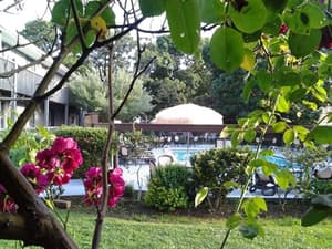 thumbnail: Outdoor pool