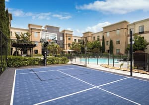 thumbnail: Basketball court