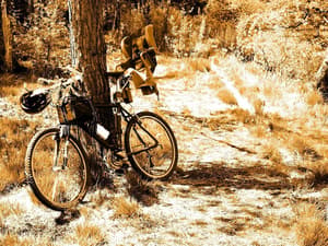 thumbnail: Bicycling