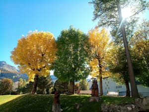 thumbnail: Garden