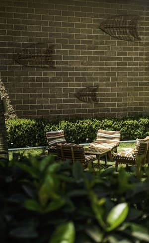 thumbnail: Garden