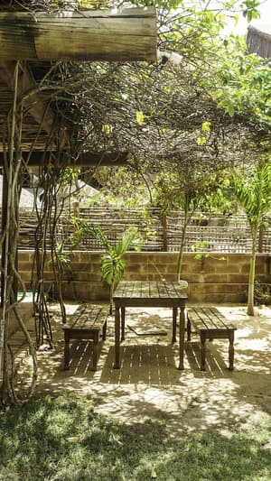 thumbnail: Garden