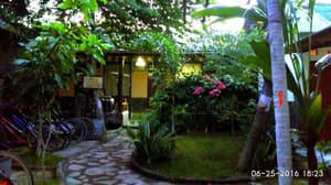 thumbnail: General view