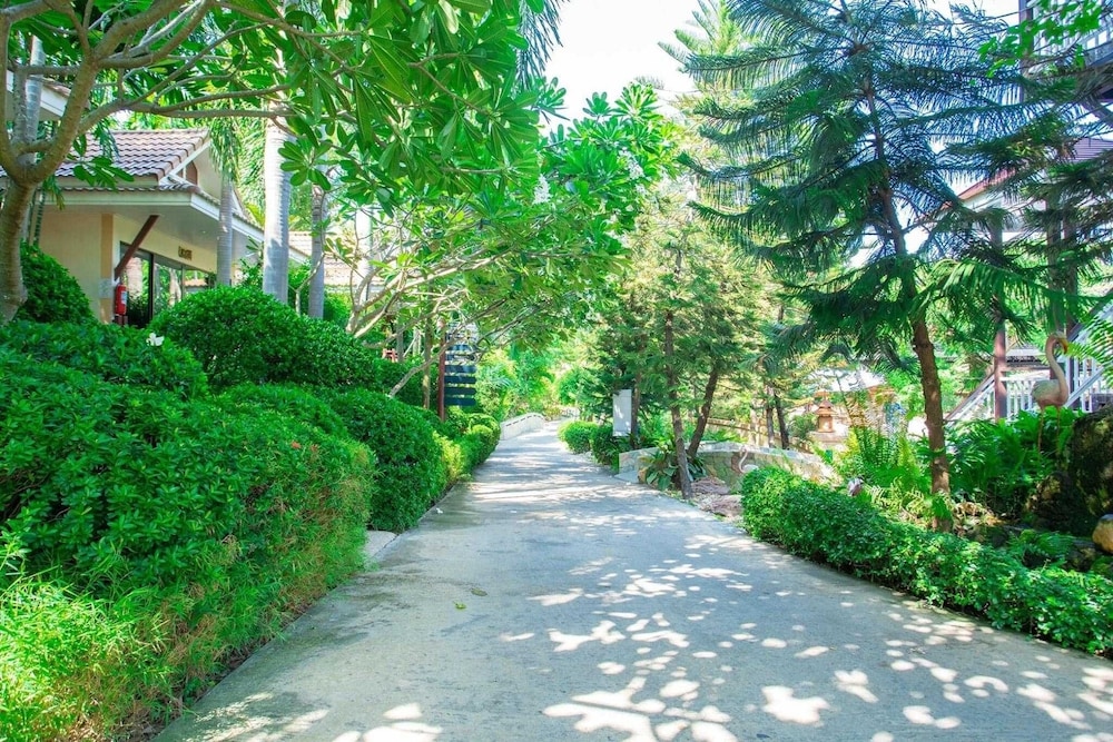 Garden view