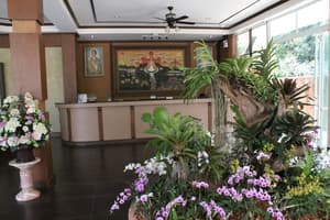 thumbnail: Reception