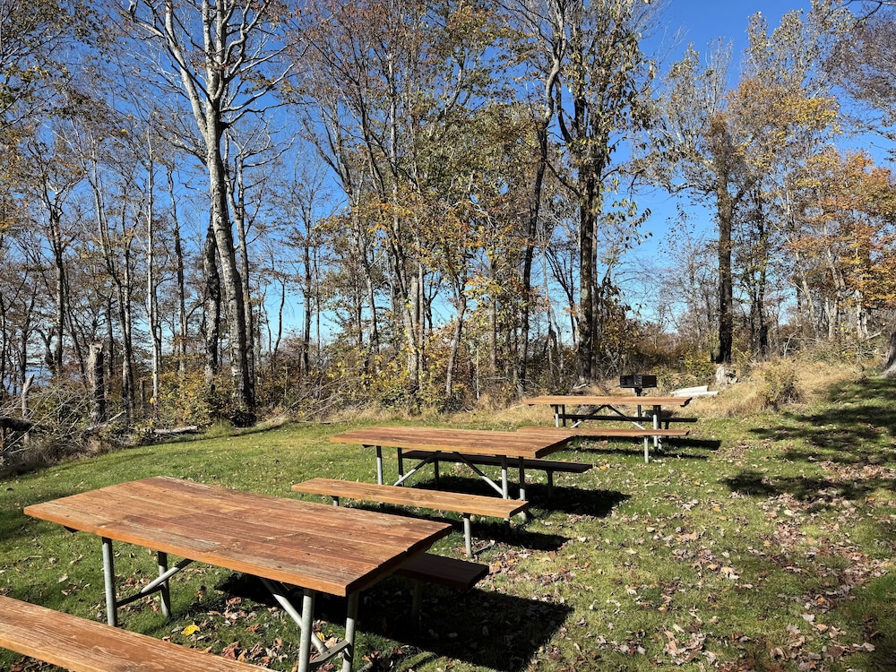 BBQ/picnic area