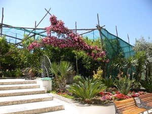 thumbnail: General view