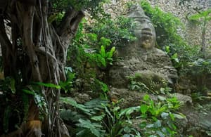 thumbnail: Garden