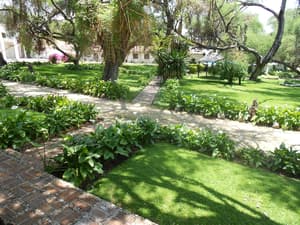 thumbnail: Garden