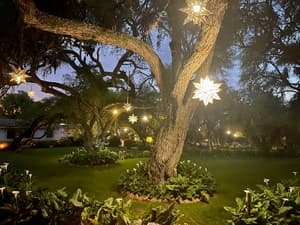 thumbnail: Garden