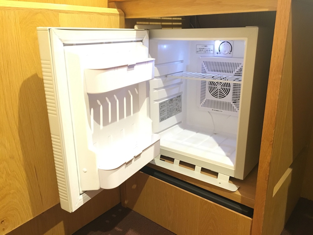 Mini-refrigerator