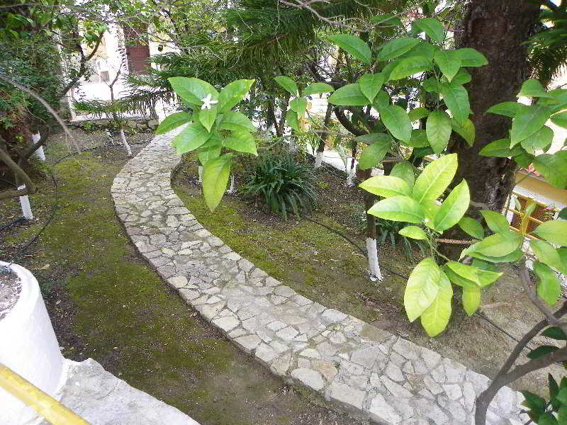 General view